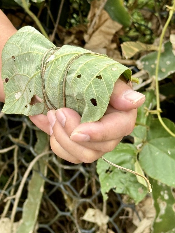 20251102-sfess 20251102-sfess