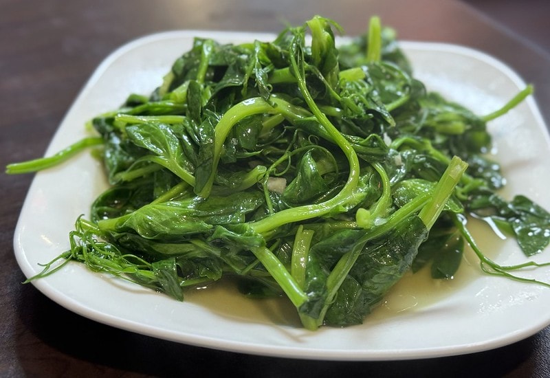 20251102-yneog 20251102-yneog