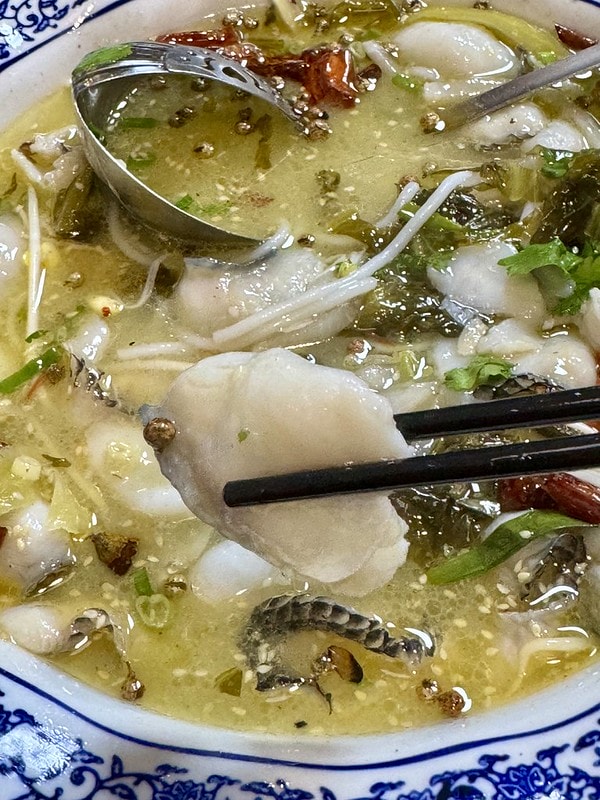 20251102-zwan1 20251102-zwan1