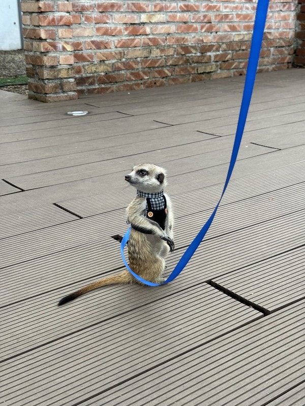 20251102-02afy 20251102-02afy