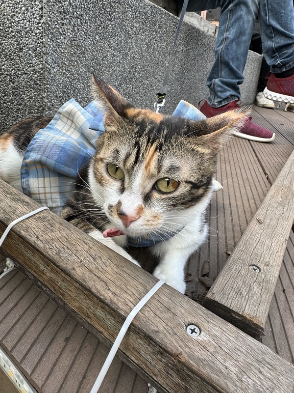 20251102-qlw78 20251102-qlw78