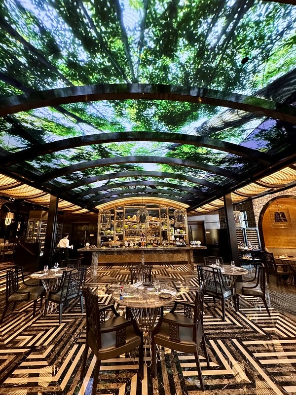 20251102-vyw5n 20251102-vyw5n