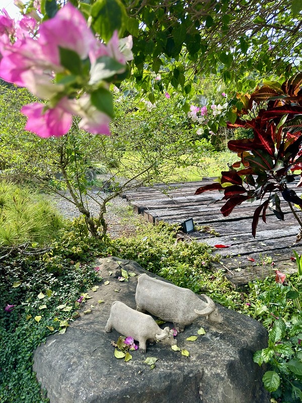 20251102-de6o0 20251102-de6o0