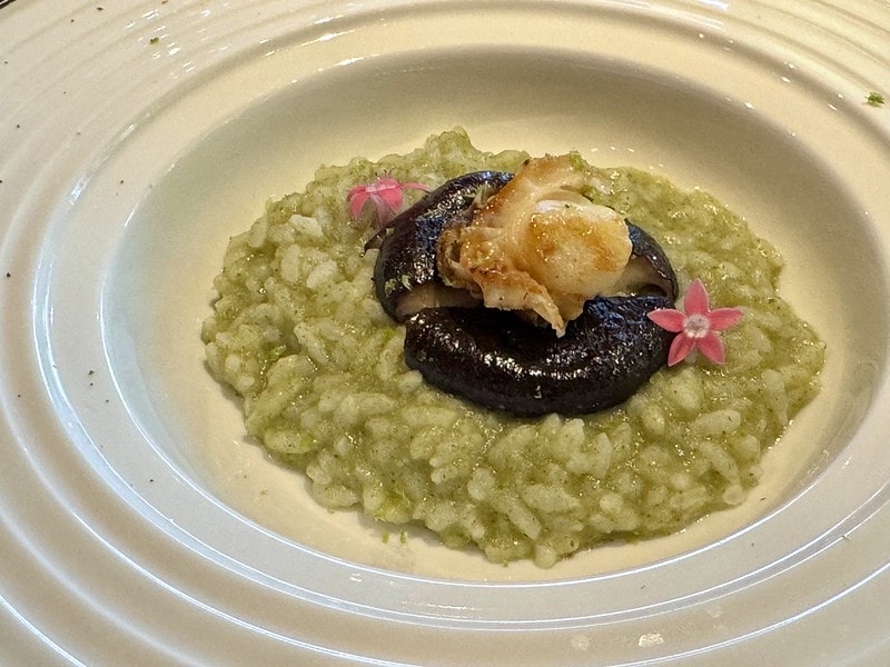 20251102-yb6xd 20251102-yb6xd