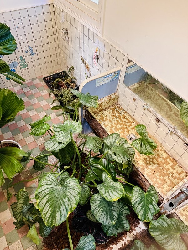 20251102-79kl4 20251102-79kl4