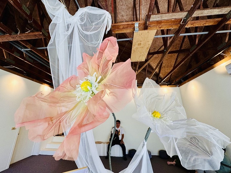 20251102-8adcw 20251102-8adcw