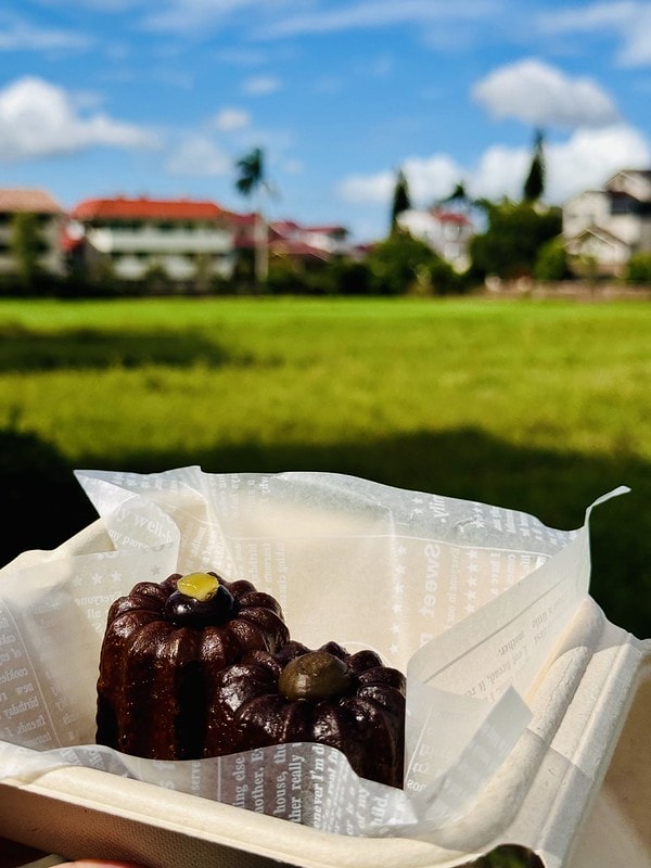 20251102-lrg95 20251102-lrg95