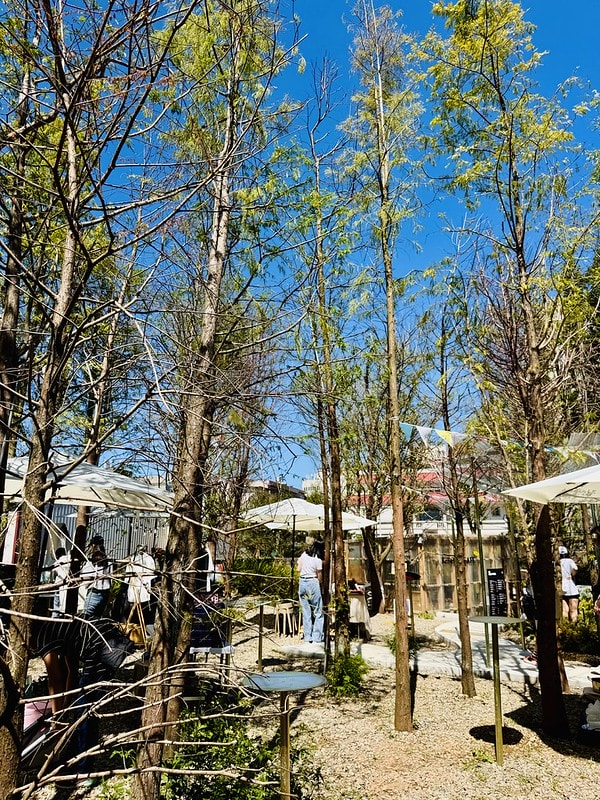 20251102-mvg64 20251102-mvg64