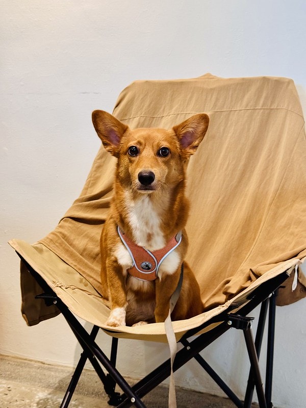 20251102-t5gd8 20251102-t5gd8