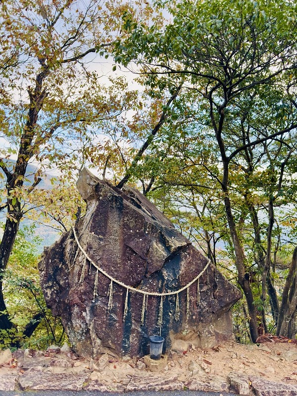 20251102-7fpcg 20251102-7fpcg