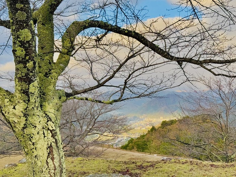 20251102-ehkhv 20251102-ehkhv