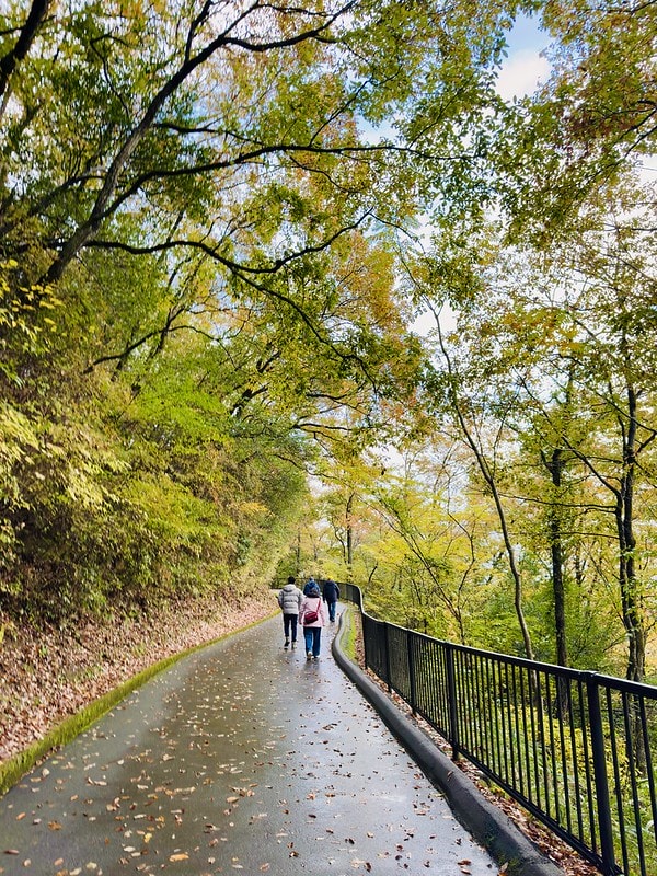 20251102-zs6js 20251102-zs6js