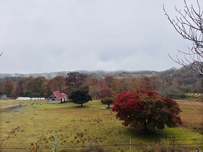 20251102-1z5t4 20251102-1z5t4