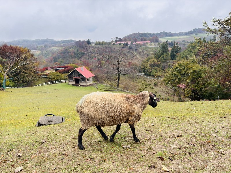 20251102-c92yj 20251102-c92yj