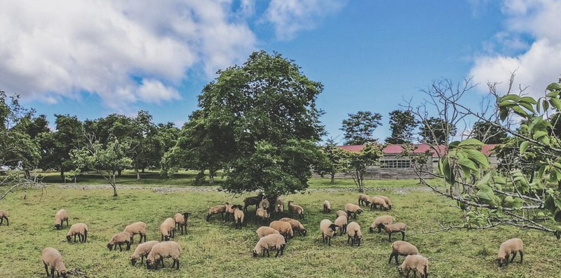 20251102-guhka 20251102-guhka