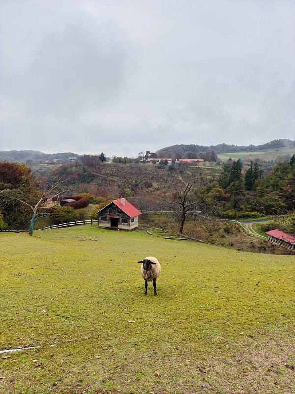 20251102-krpip 20251102-krpip