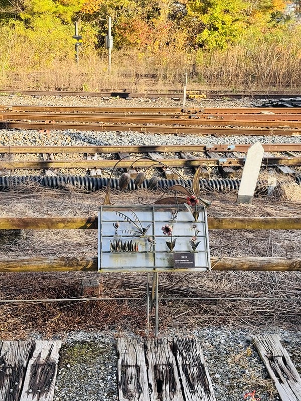 20251102-psv74 20251102-psv74