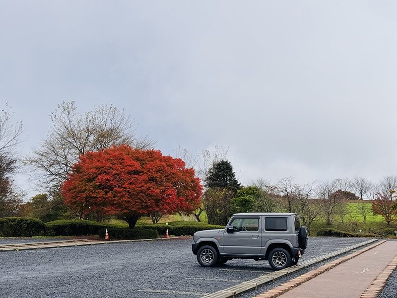 20251102-q85jj 20251102-q85jj