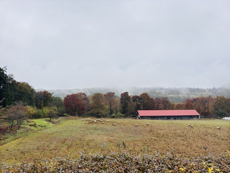 20251102-y4w2h 20251102-y4w2h