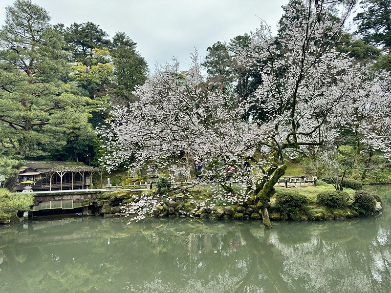 20251102-3qgds 20251102-3qgds