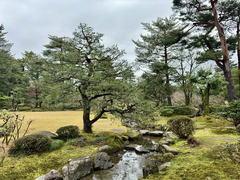 20251102-6k4d9 20251102-6k4d9