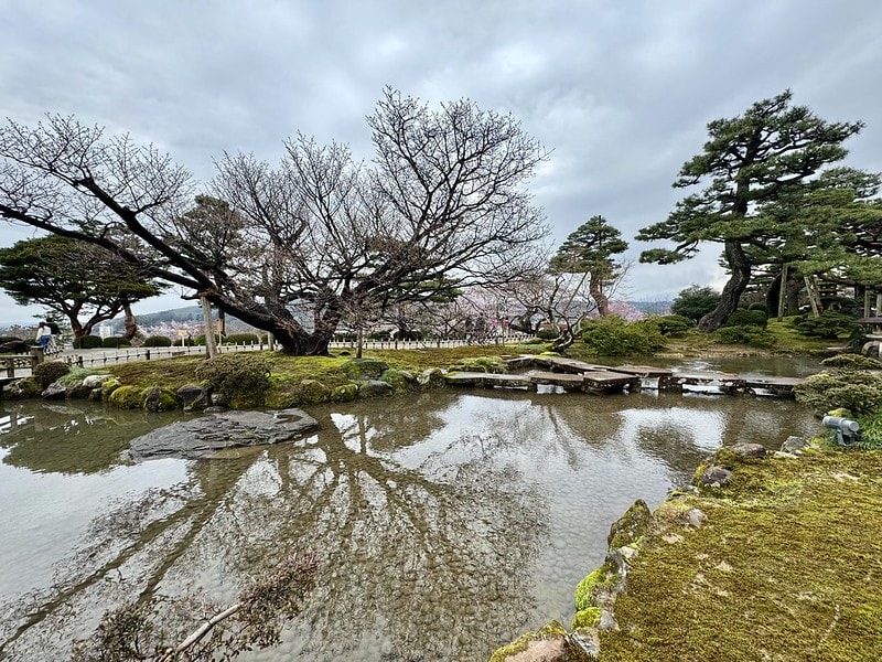 20251102-75pvr 20251102-75pvr