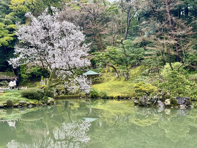 20251102-m7y5a 20251102-m7y5a