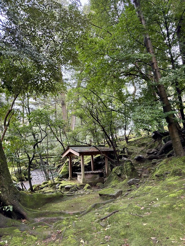 20251102-njh66 20251102-njh66