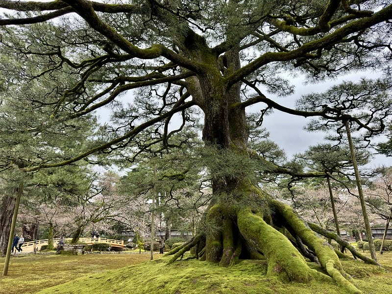 20251102-t4x5v 20251102-t4x5v