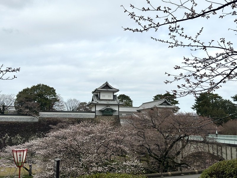 20251102-vx0fh 20251102-vx0fh