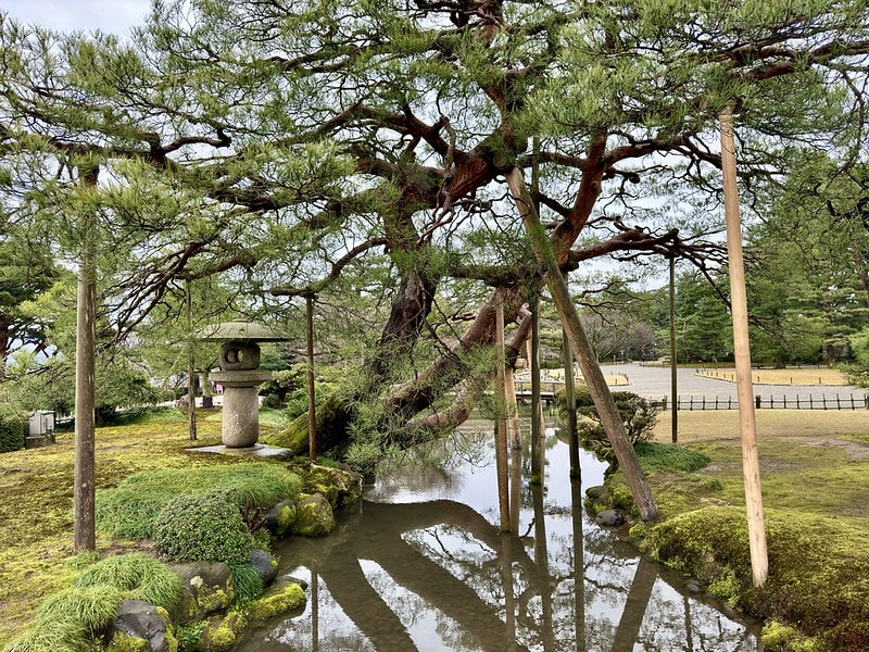 20251102-z7lxn 20251102-z7lxn