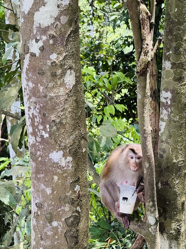 20251102-5og75 20251102-5og75