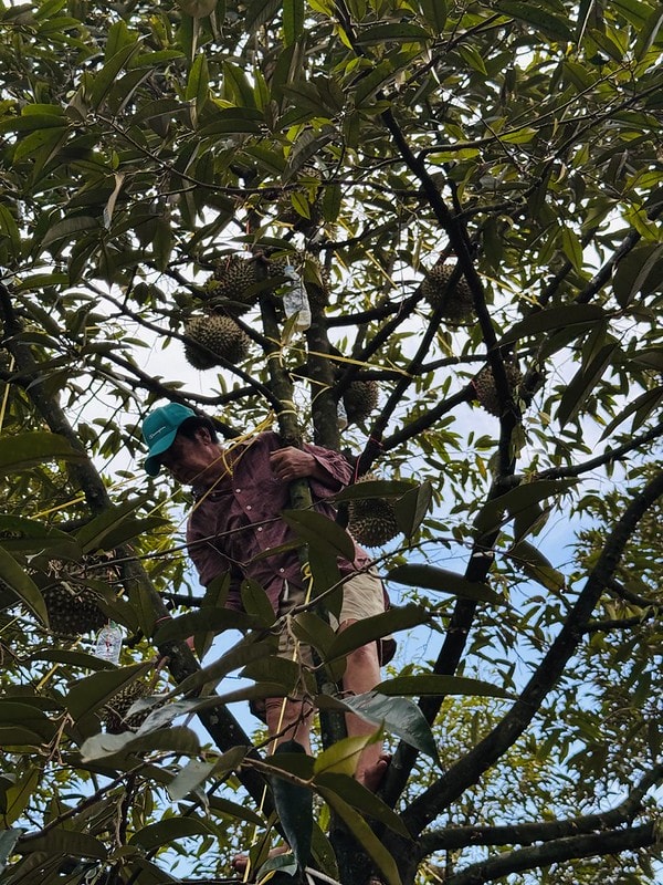 20251102-75h9r 20251102-75h9r