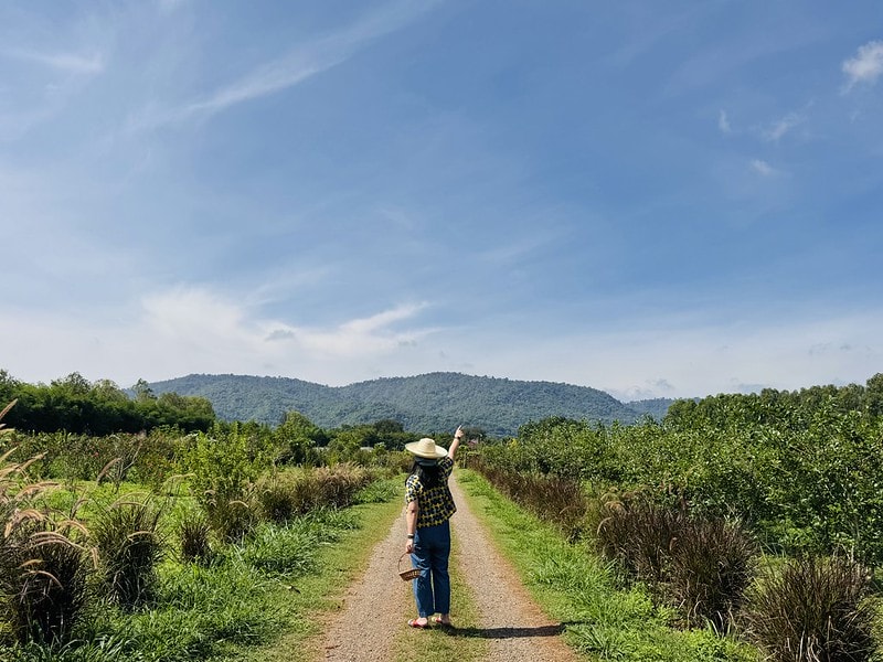 20251102-7781y 20251102-7781y