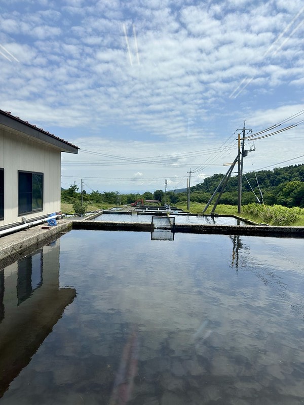 20251102-a4381 20251102-a4381