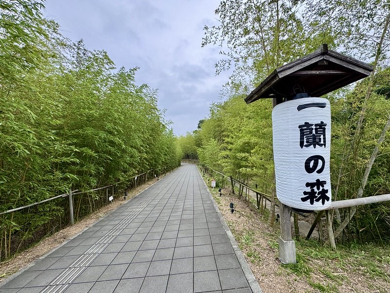 20251102-rctsy 20251102-rctsy