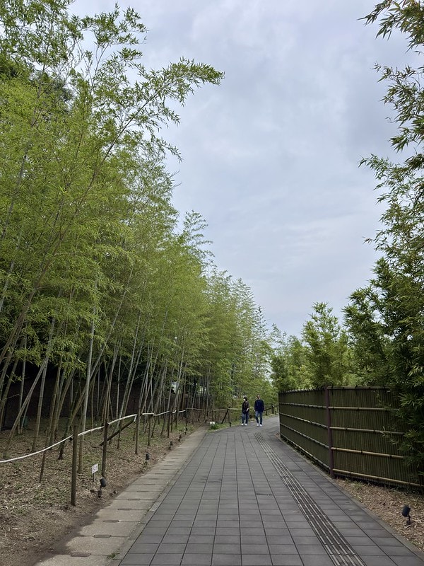 20251102-z68pk 20251102-z68pk