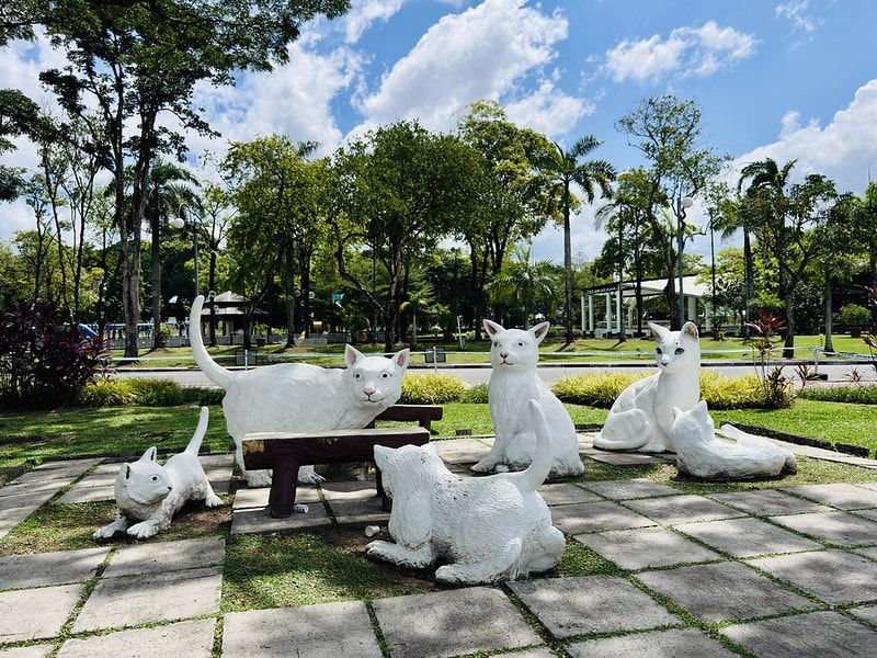 20251102-wtwzs 20251102-wtwzs