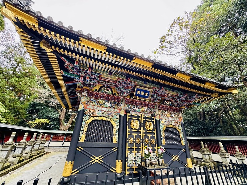 20251102-81f5z 20251102-81f5z