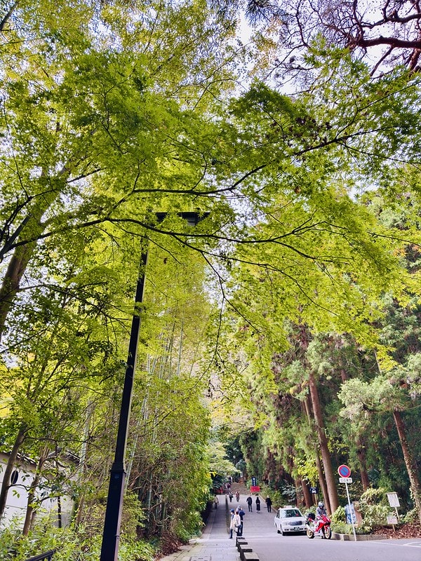 20251102-e5u0k 20251102-e5u0k