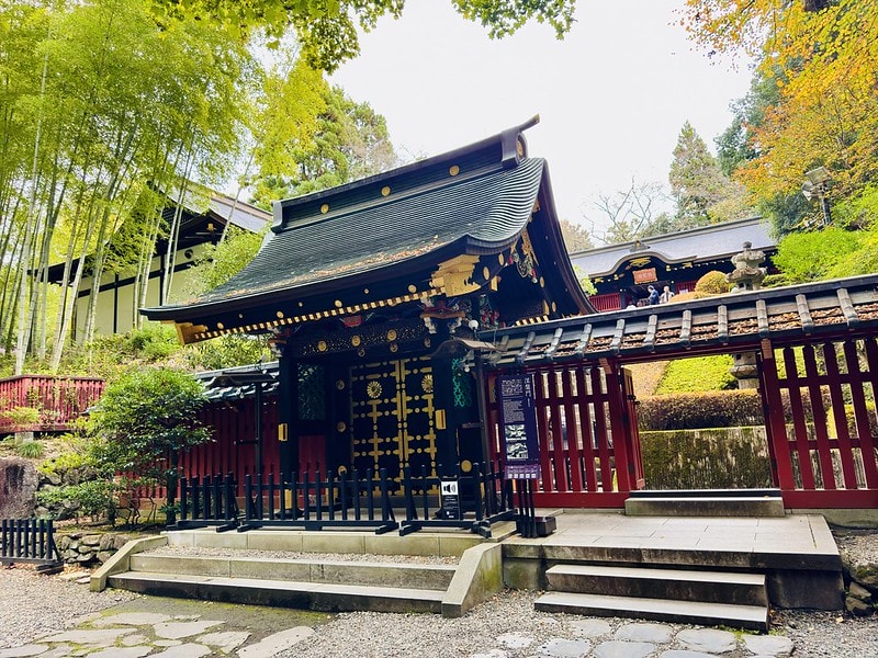 20251102-ixnwt 20251102-ixnwt