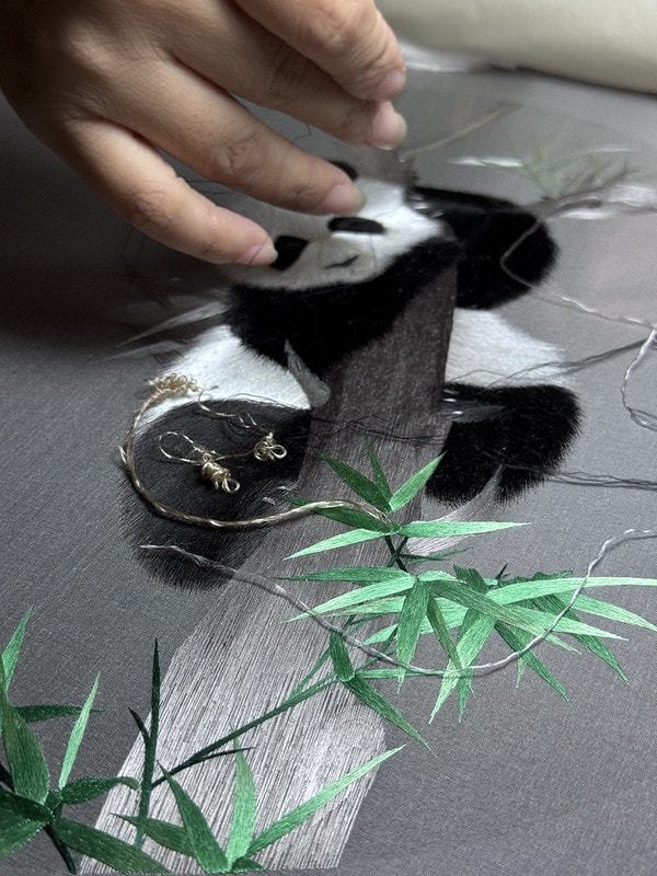 20251102-r4bsh 20251102-r4bsh