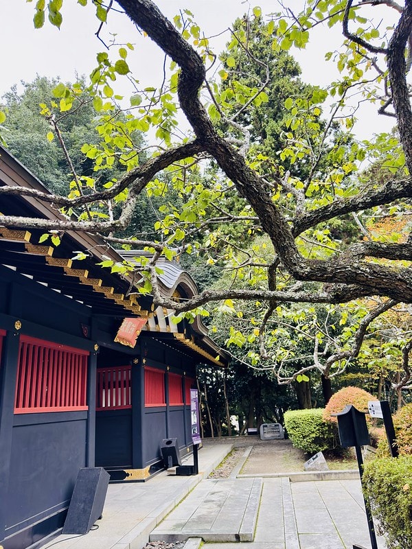 20251102-rrrt1 20251102-rrrt1