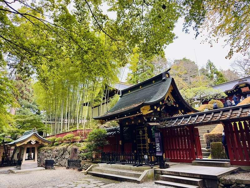 20251102-tzb8s 20251102-tzb8s