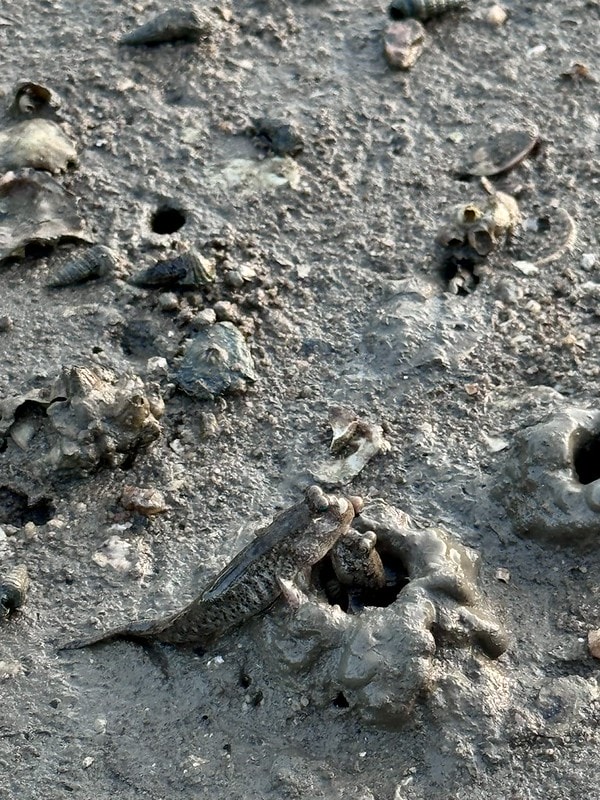 20251102-bwayi 20251102-bwayi