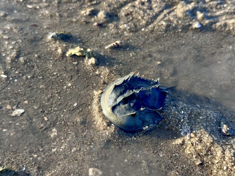 20251102-fgstd 20251102-fgstd