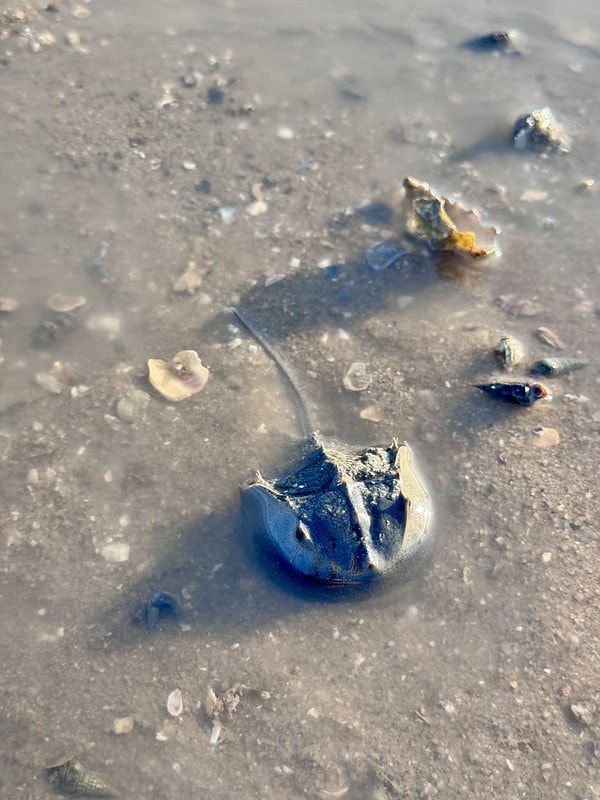 20251102-qb9lz 20251102-qb9lz