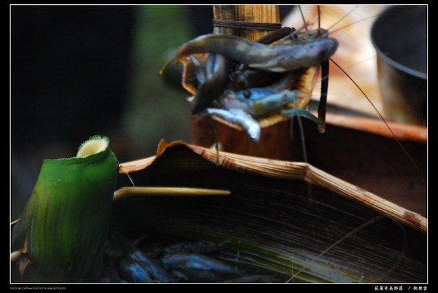 【台灣，花蓮】旅行到部落，來花蓮瑞穗秀姑巒溪畔的古老部落「奇美部落」做一趟生態、文化、美食之旅