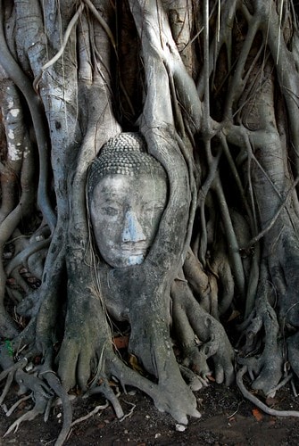 【泰輕鬆】再見,泰國!! (好康小活動) - 第6張圖 DSC_2471