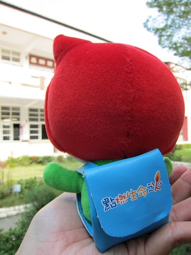 番薯田中的舞獅冠軍~雲林大興國小 - 第21張圖 IMG_5415